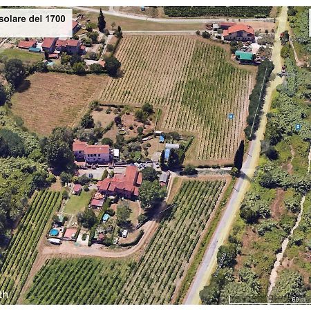 Le Rose , Relax In Casolare Del 1700 Daire Sarzana Dış mekan fotoğraf