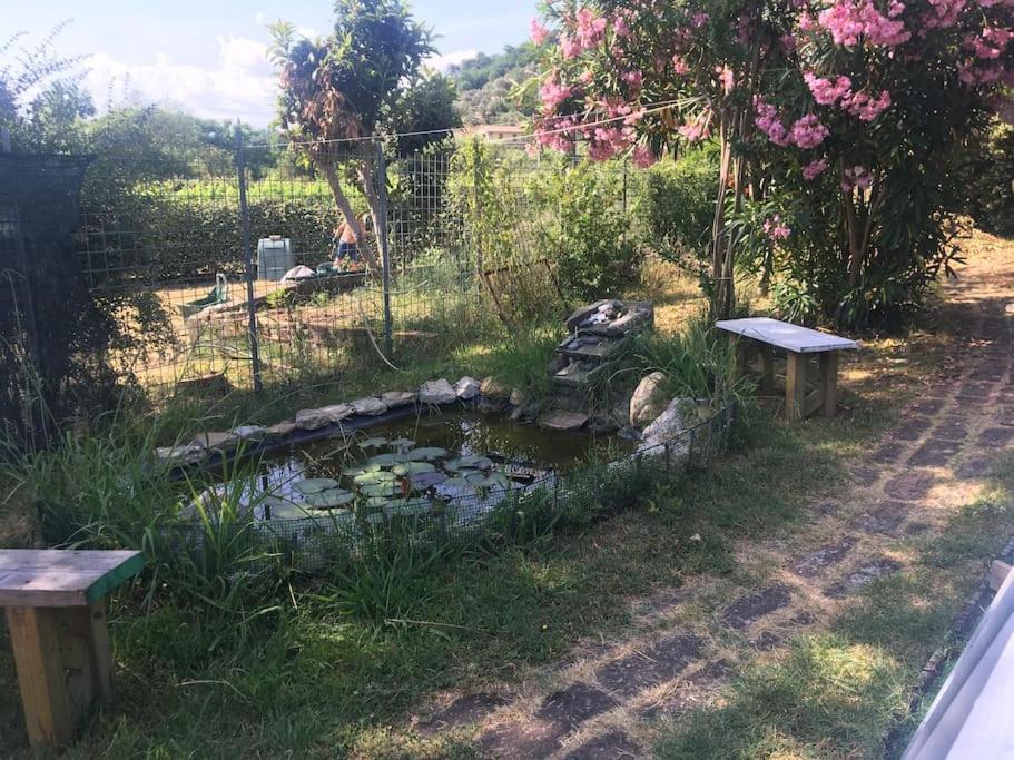 Le Rose , Relax In Casolare Del 1700 Daire Sarzana Dış mekan fotoğraf